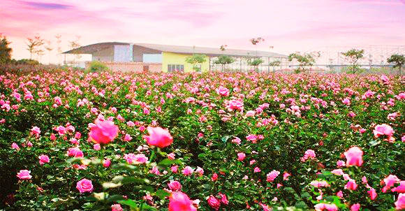 微信图片_20250801095101.jpg 图片